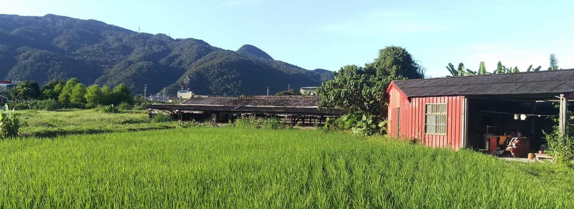 音樂米c-04-kv