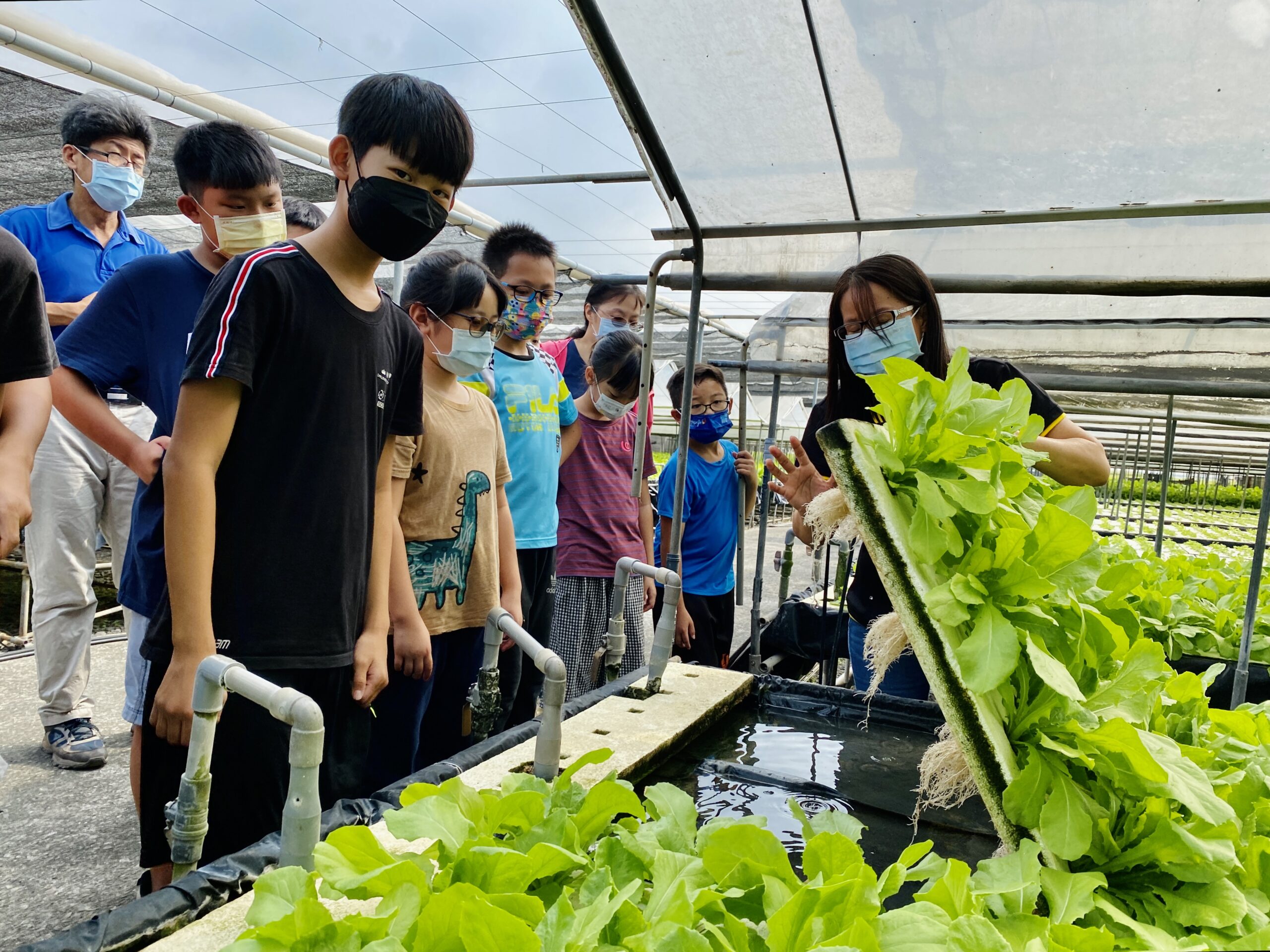 (三級體驗1)學童近距離認識水耕蔬菜的生態與農法