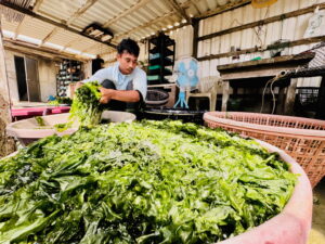후둥 지역 발전 협회 - 행복한 산과 바다의 맛(湖東社區發展協會-幸福山海味)