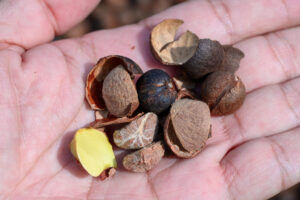 호경장(好景莊)