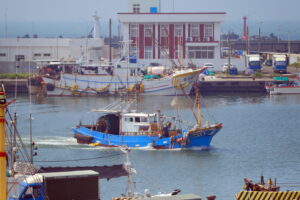 가오슝시 즈관구 어협(高雄市梓官區漁會)