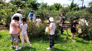 소엽자 농원( 小葉子農園)