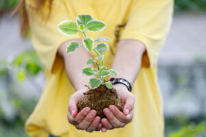 춘원 친자 농장(春園親子農場)