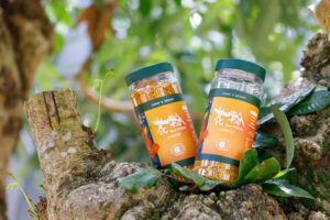 동흥봉장 (東興蜂場)