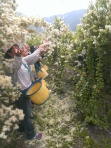 두사양각촌(頭社羊角村)