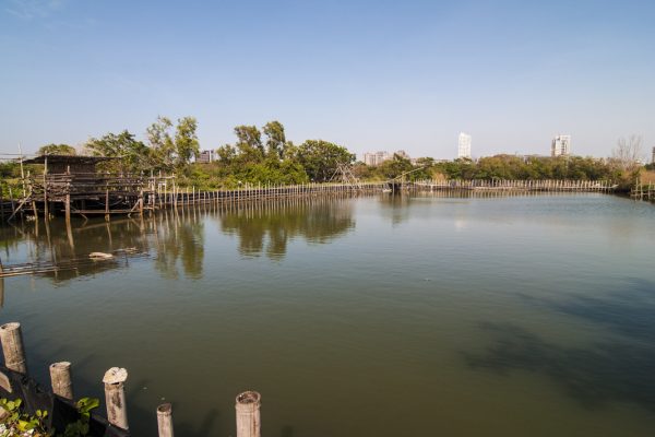 虱目魚主題館魚塭以蚵棚廢材搭建設施